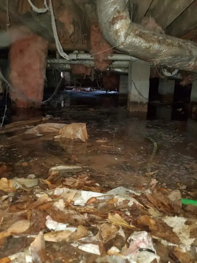 Crawl space flood assessment for Leak Detection & Repair in Happy Valley